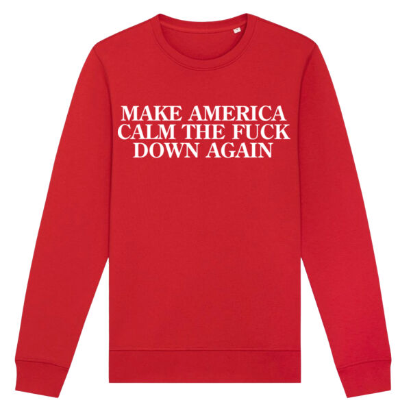 Make America Calm The Fuck Down (sweater) Thumbnail