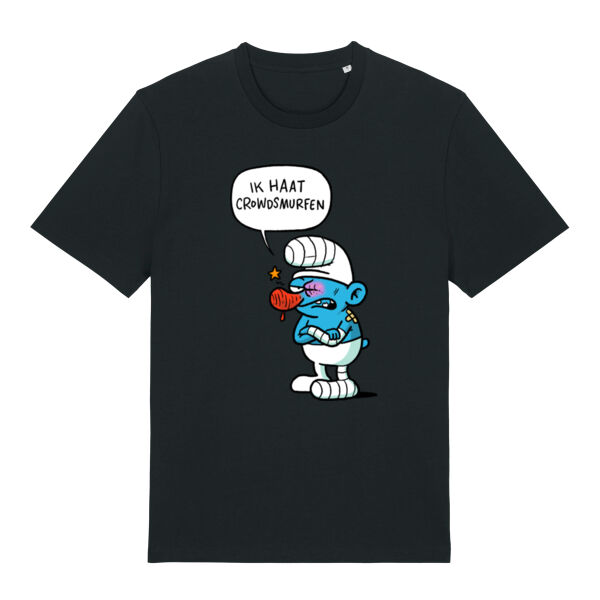 Crowdsurfen Thumbnail